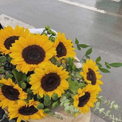 变身男孩中文版